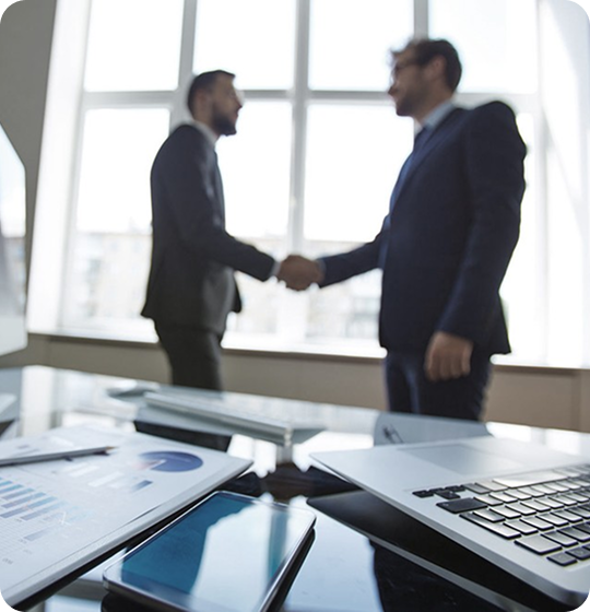 NEGOCIOS E INVERSIONES